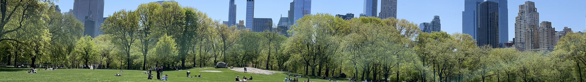 Central Park New York