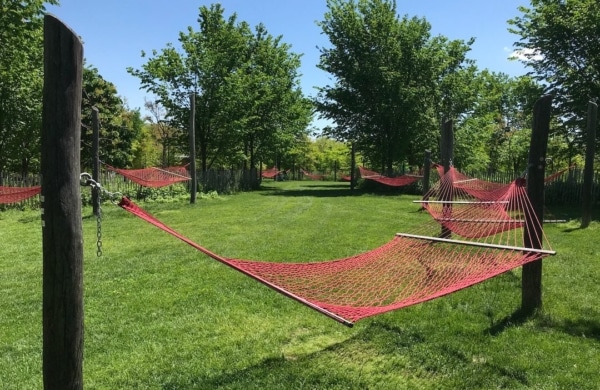 Hammock Grove à Governors Island