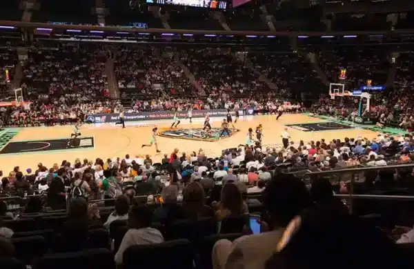 New York Liberty, basket féminin