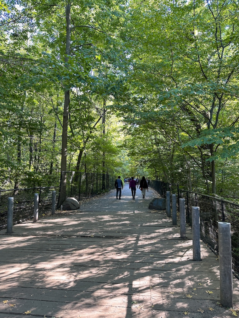 Allée à Prospect Park