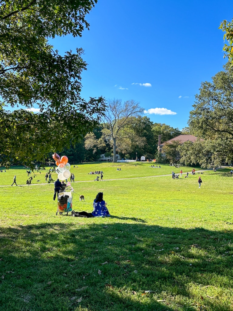 Grande pelouse à Prospect Park