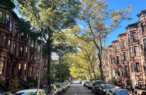 Rue arborée de Park Slope avec ses brownstones à Brookyn