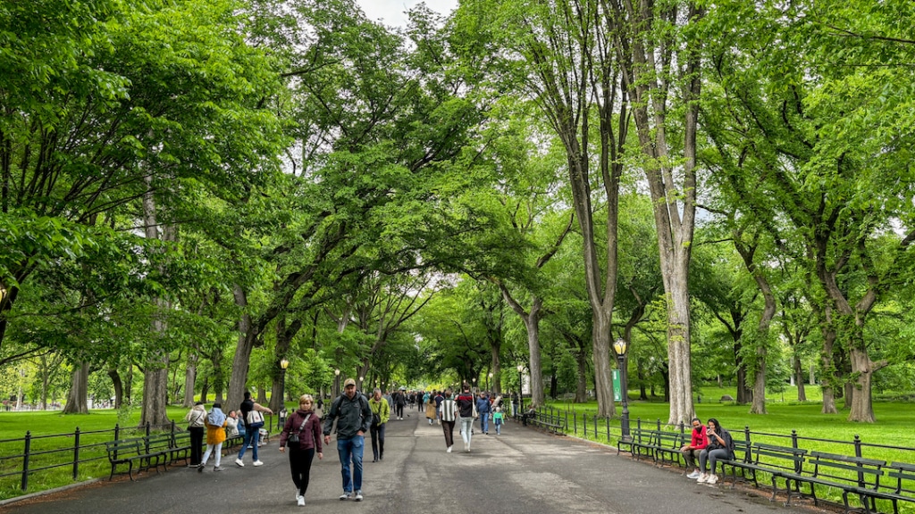 The Mall à Central Park