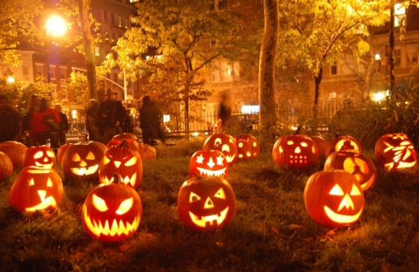 Citrouilles allumés dans parc pendant la fête Halloween NYC