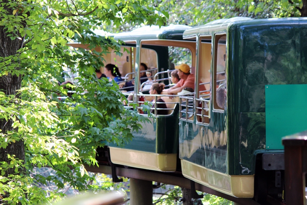 Train se déplaçant dans le zoo du Bronx