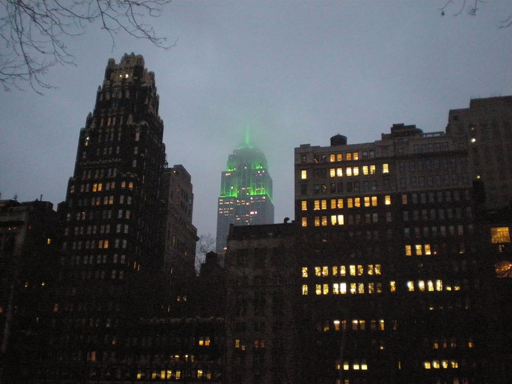 La Saint-Patrick à New York