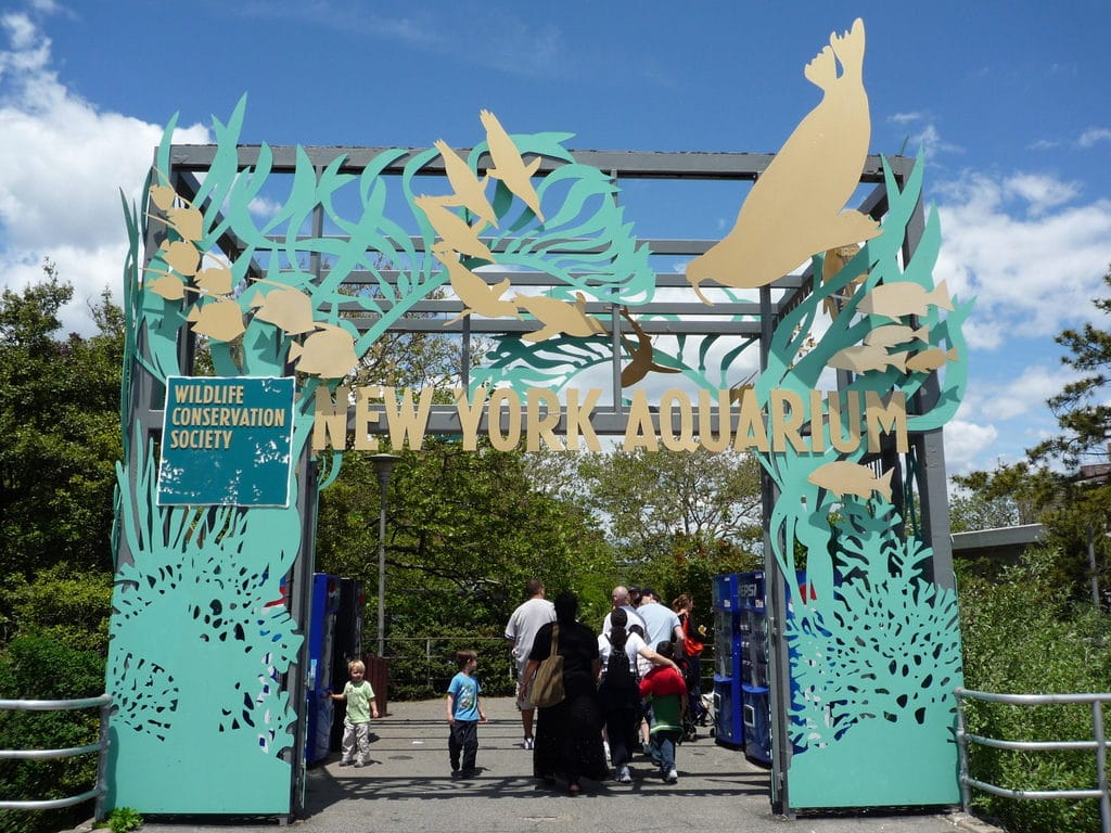 Aquarium de New York à Coney Island