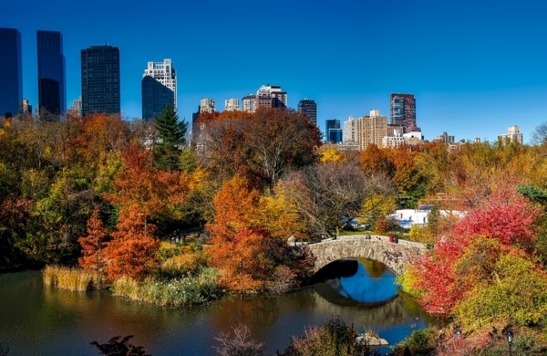 Central Park en automne, un havre de paix au cœur de la ville où les couleurs chaudes créent une atmosphère enchantée.