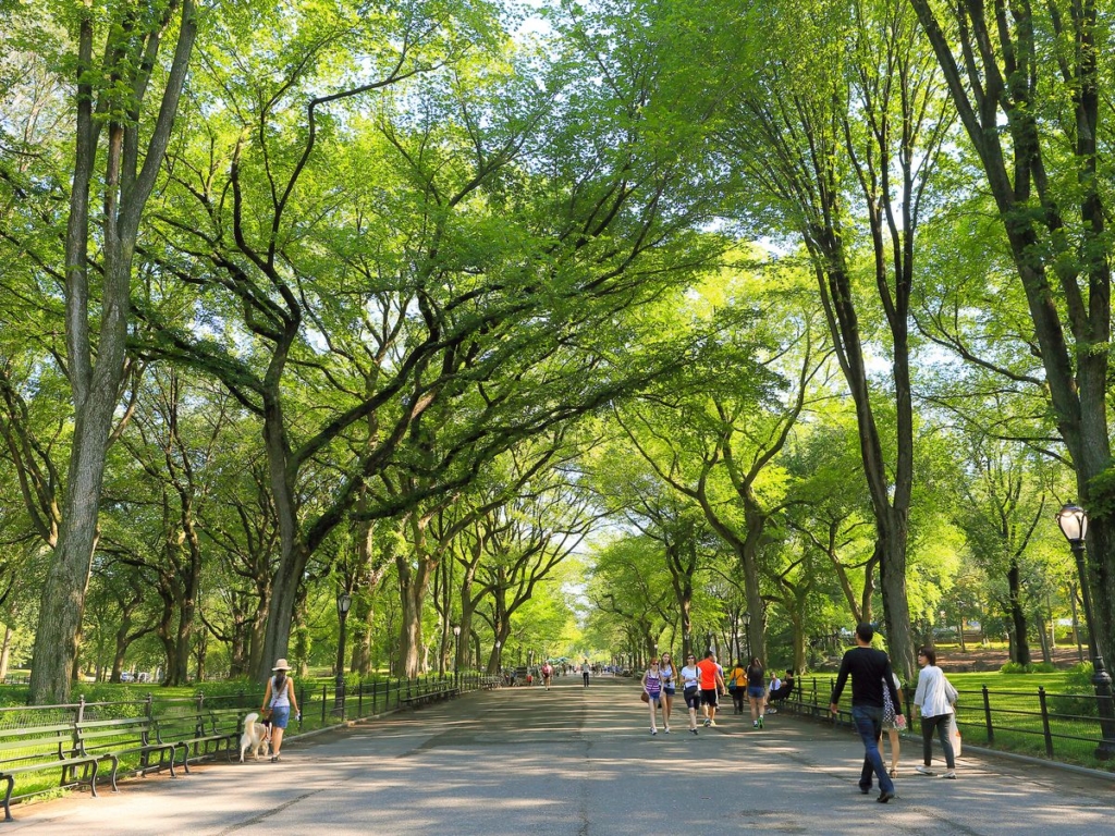 The Mall, allée de Central Park