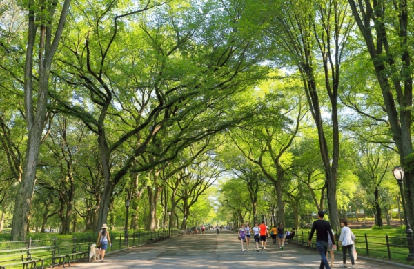 The Mall, allée de Central Park