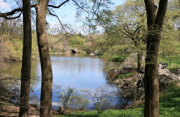 Central Park New York | The Pond