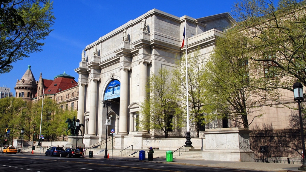 Musée d'Histoire Naturelle de New York