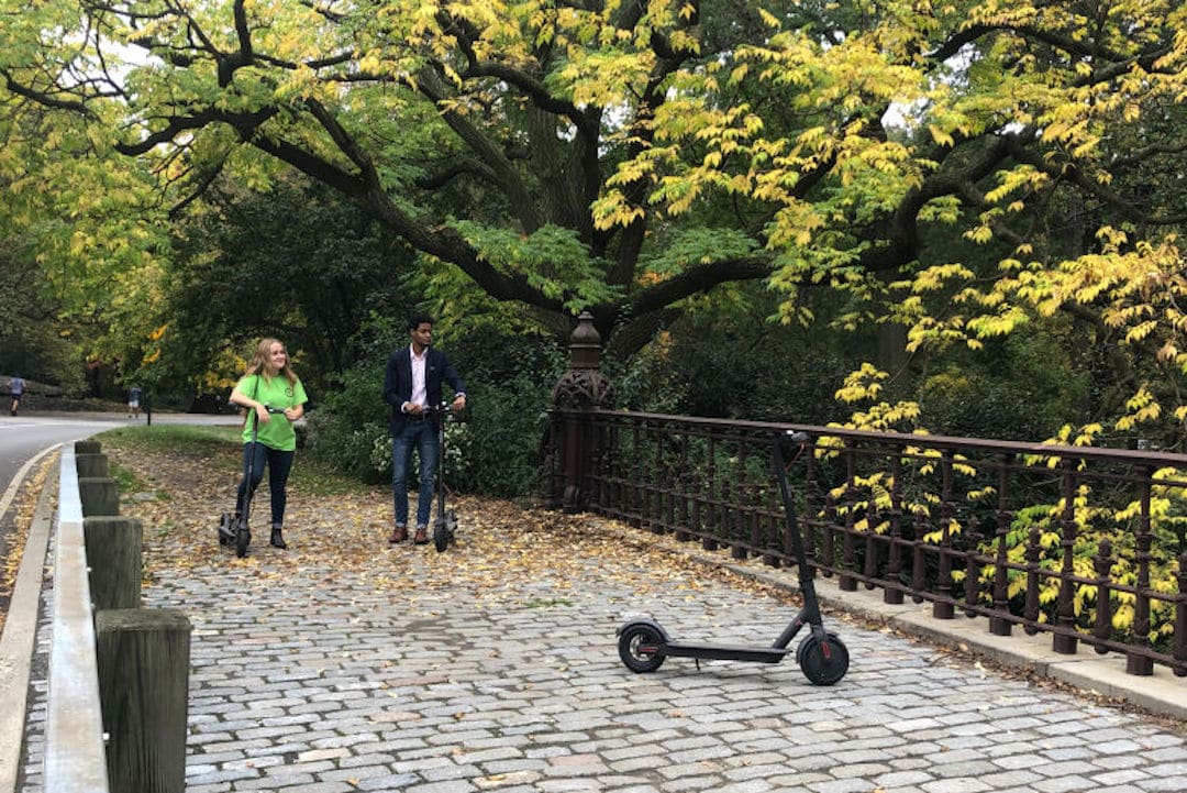 Deux personnes sur des trottinettes électriques à Central Park à New York