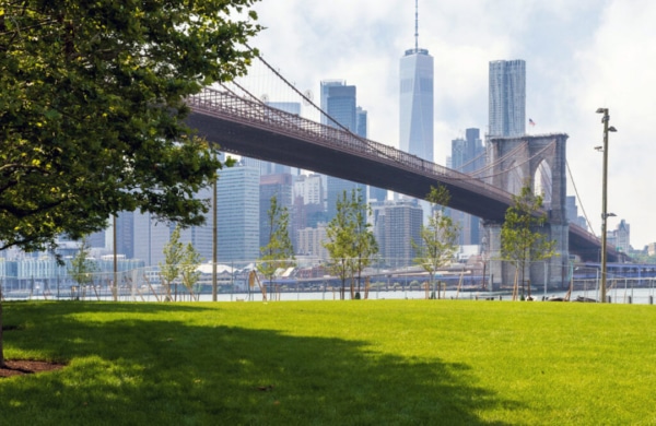 Étendue d'herbe devant le pont de Brooklyn