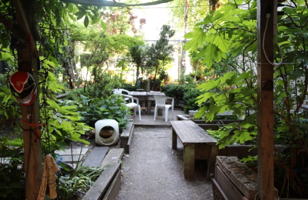 Jardin communautaire à New York