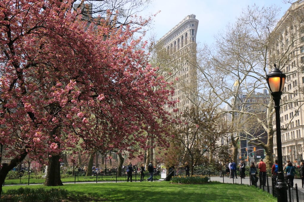 Flatiron Building caché derrière les arbres du Madison Square Park